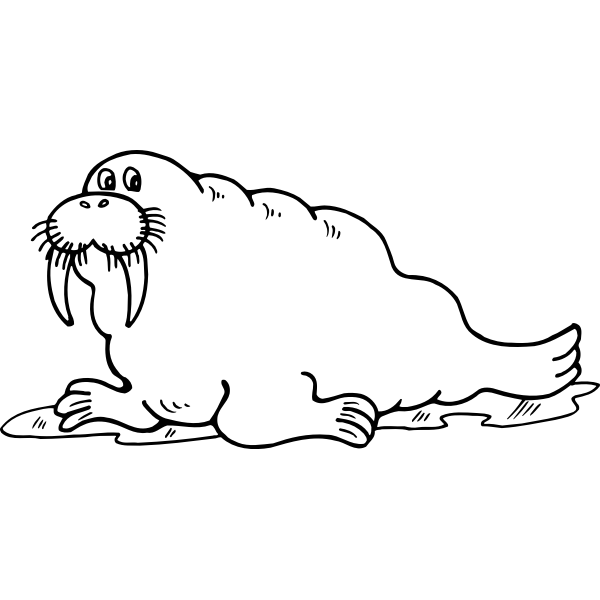 SVG Walrus drawing
