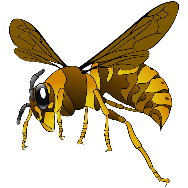 SVG Wasp