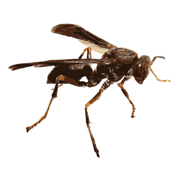 SVG Wasp 16c