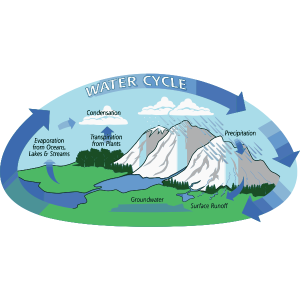 SVG Water cycle vector illustration