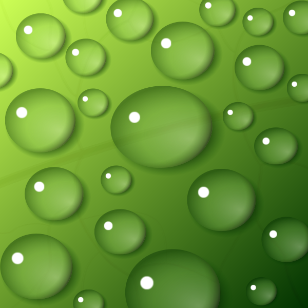 SVG Water drops on green background vector image