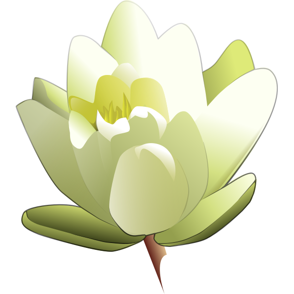 SVG Water Lily Vector Image