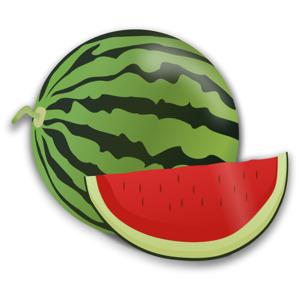 SVG Watermelon and slice vector image