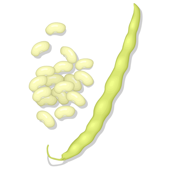 SVG Wax beans