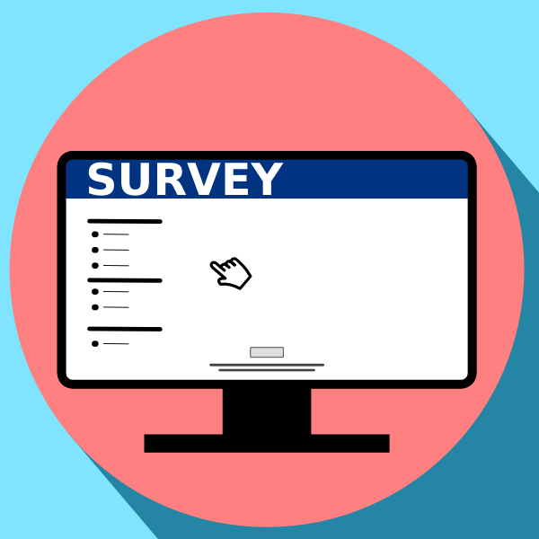 SVG Website survey icon vector image