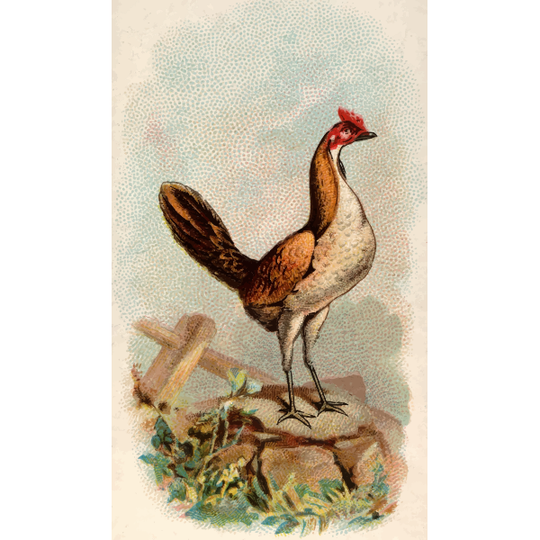 SVG Wheaten game hen