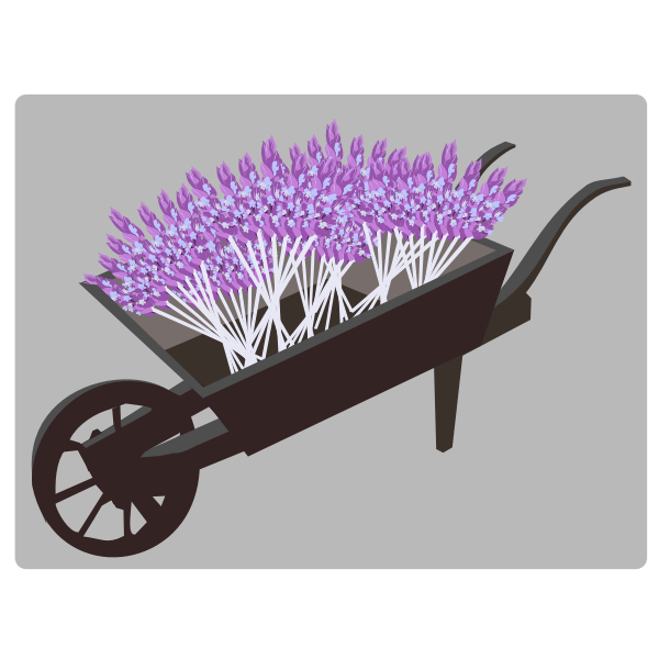 SVG wheel barrow planter lavender