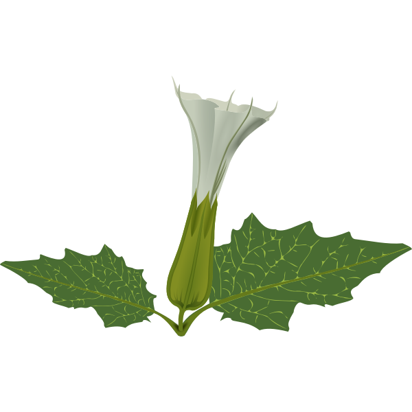 SVG White flower