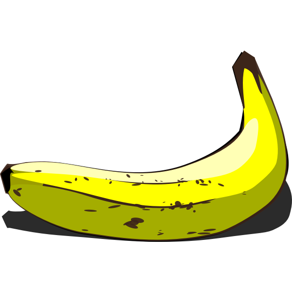 SVG Whole banana in pairing vector image