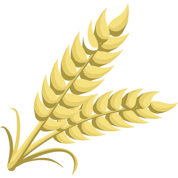 SVG Whole grain