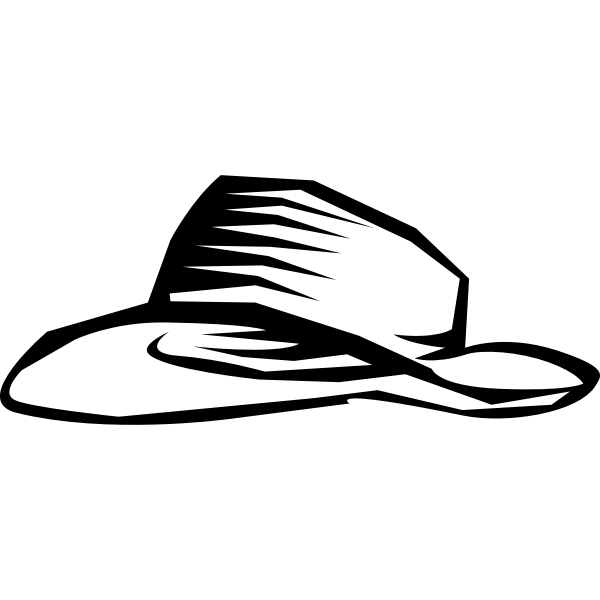 SVG wide brim hat