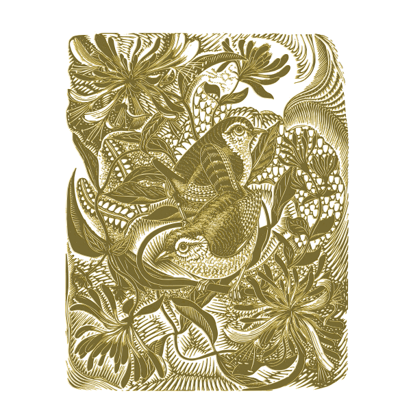 SVG Wild birds in forest