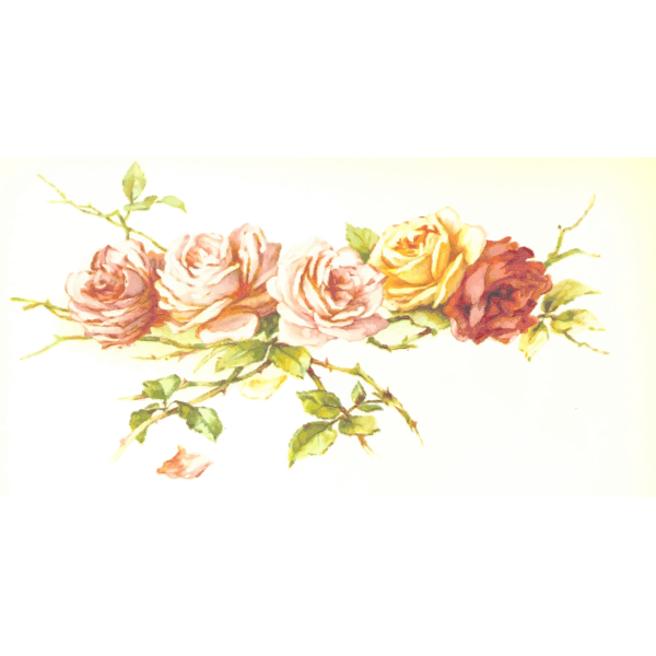SVG Wild colorful roses
