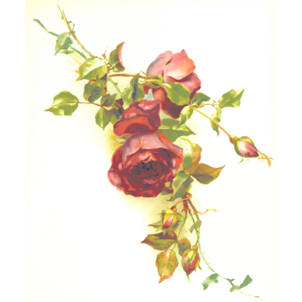 SVG Wild red roses vector image