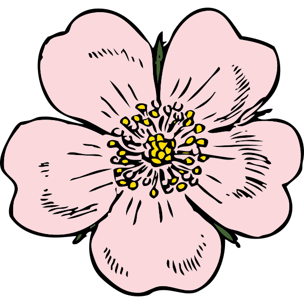 SVG wild rose