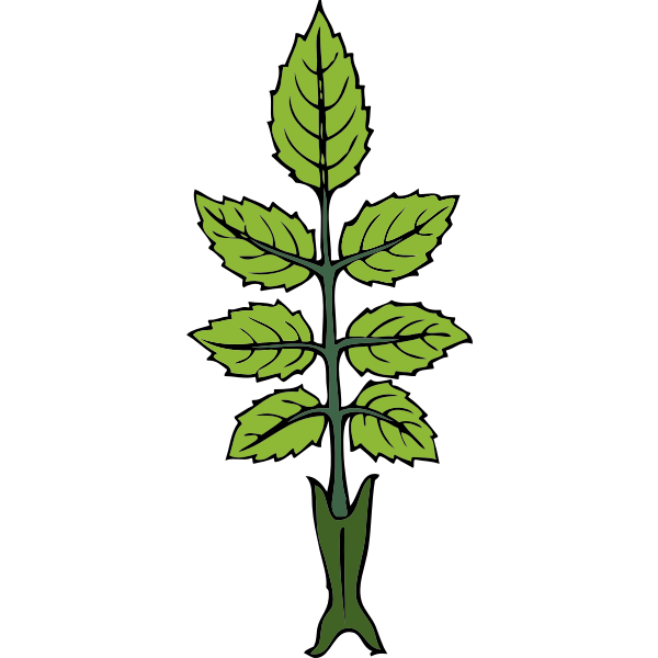 SVG wild rose branch