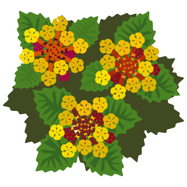 SVG Wild yellow flowers