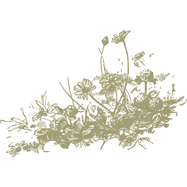 SVG Wildflowers vector drawing