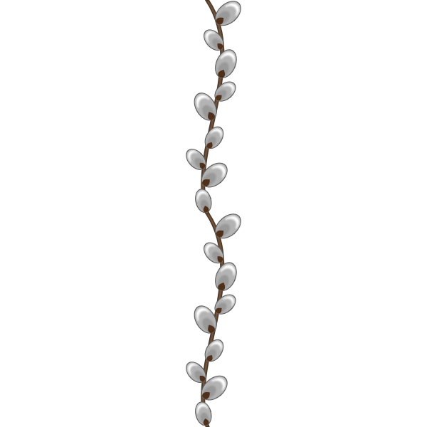 SVG Willow buds