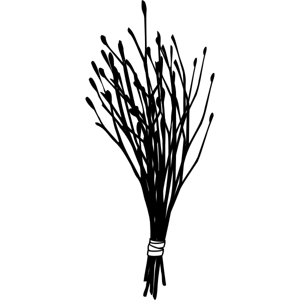 SVG Willow rod