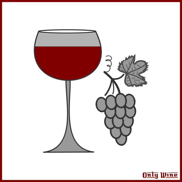 SVG Wine and grapes image