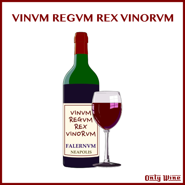 SVG Wine bottle and glass image