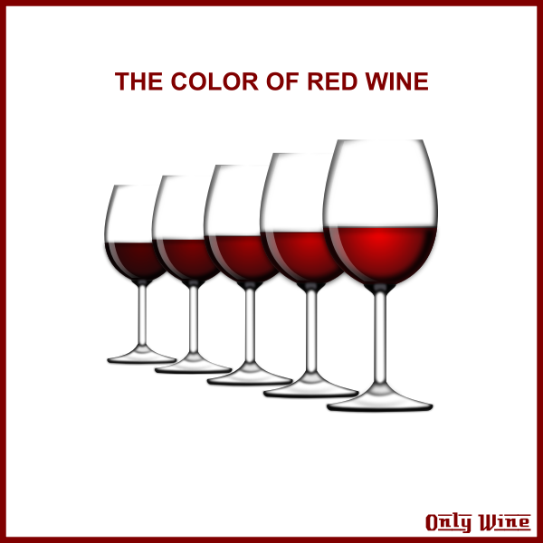 SVG Wine glasses