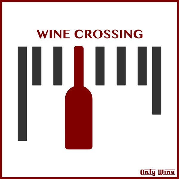 SVG Wine label 3