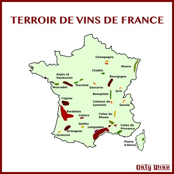 SVG Wine land
