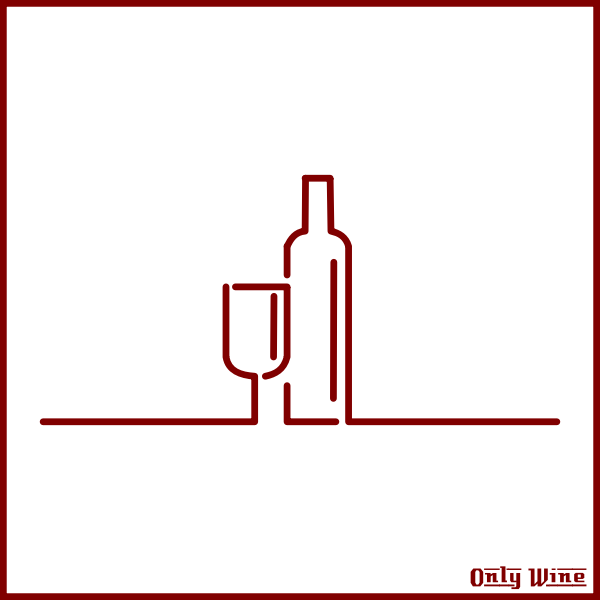 SVG Wine sketch