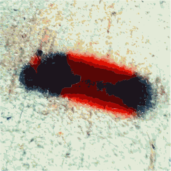 SVG Winter wooley worm 2014122243