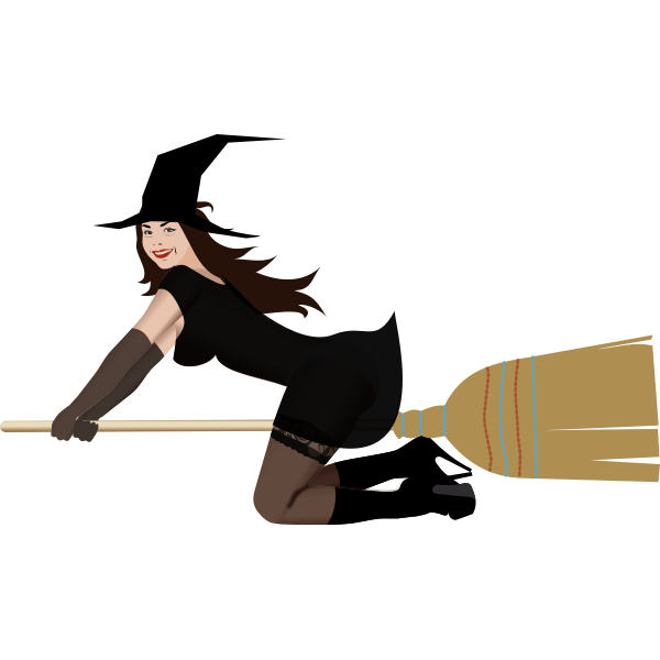 SVG Witch on broom 3 by Rones
