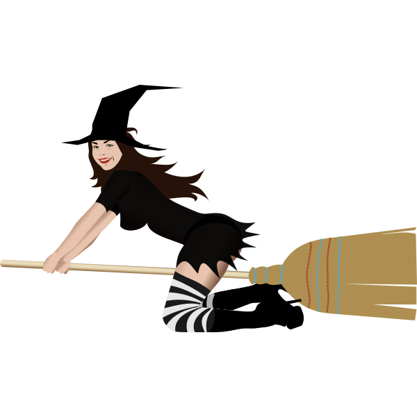SVG Witch on broom 4 by Rones