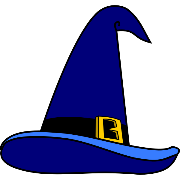 SVG Wizards hat vector image