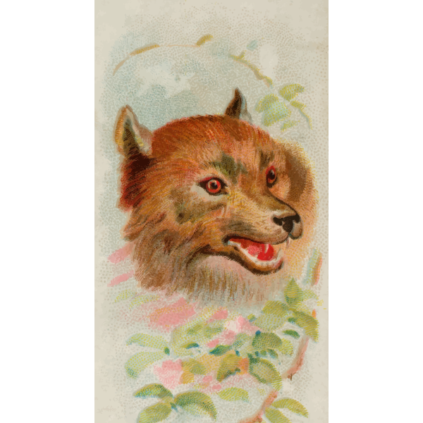 SVG Wolf039s head