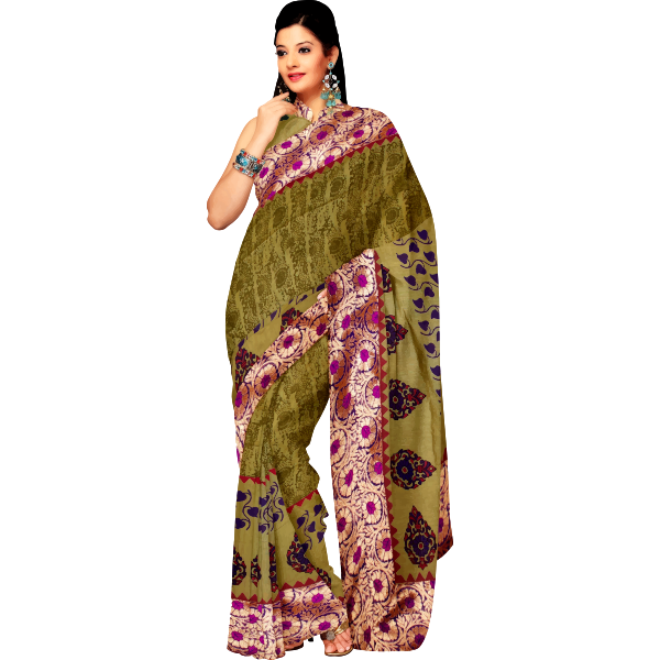 SVG Woman in saree image