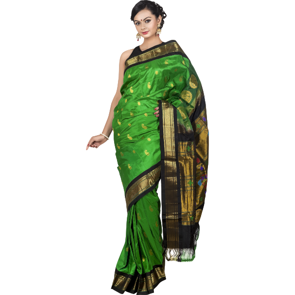 SVG Woman in sari