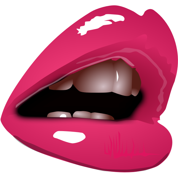 SVG Woman lips with lipstick close up vector image