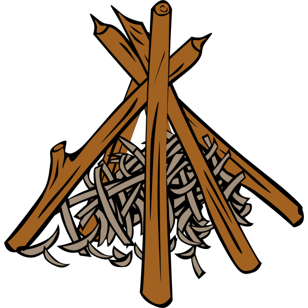 SVG Wood for outdoor fire vector image