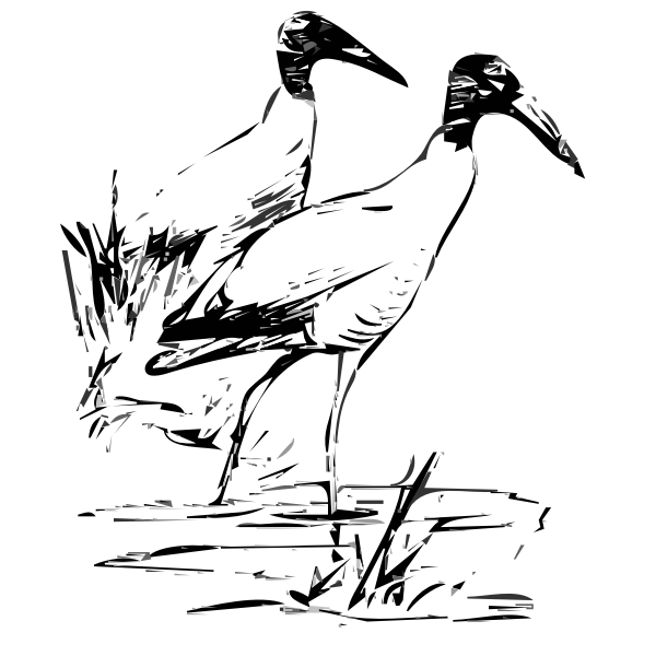 SVG Wood Ibis vector clip art
