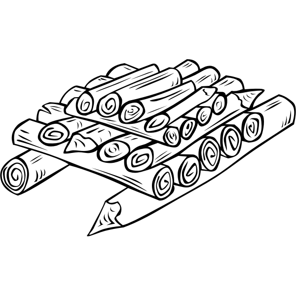 SVG Wood ready for campfire vector image