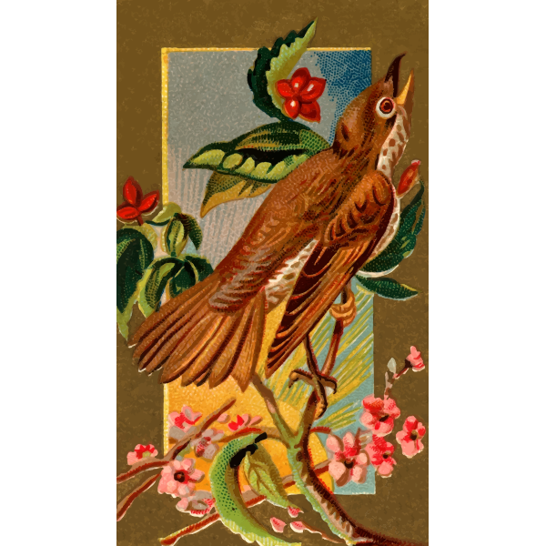 SVG Wood Thrush