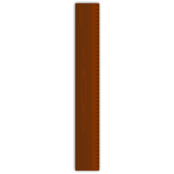SVG Wooden ruler vector image