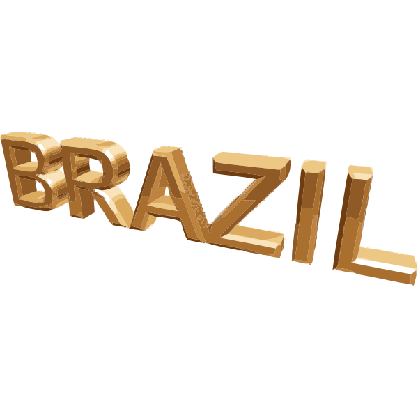 SVG Word Brazil in gold vector image