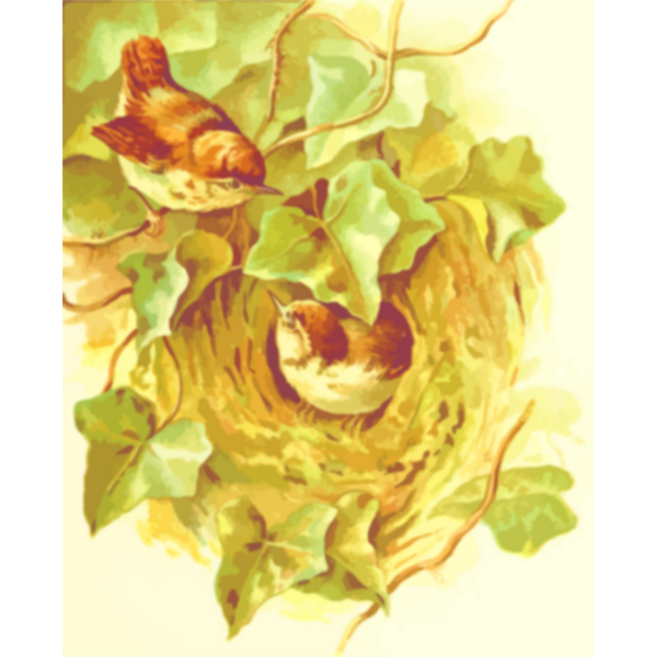 SVG Wren039s nest