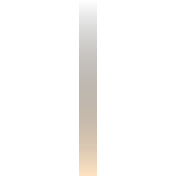 SVG ws-gradient-bisque