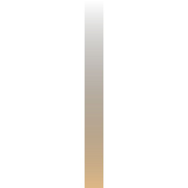 SVG ws-gradient-burlywood