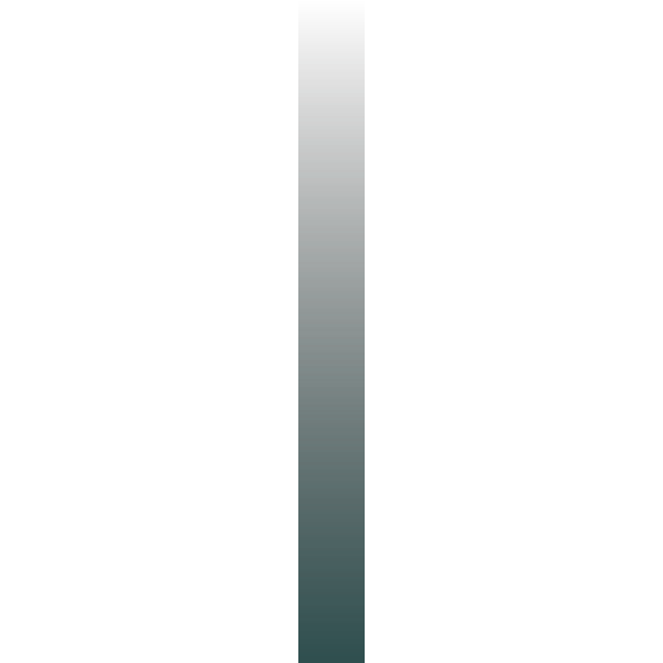 SVG ws-gradient-darkslategray