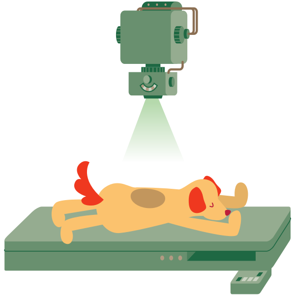 SVG Xray dog