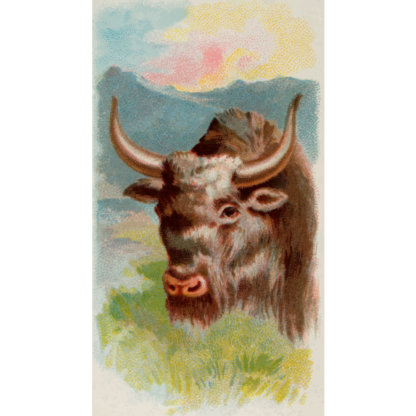 SVG Yak